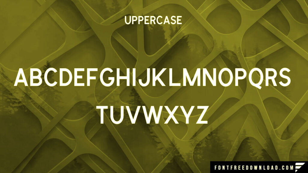 Explore the Versatile Cymbria Font Family (Featuring Six Distinct Typefaces)
