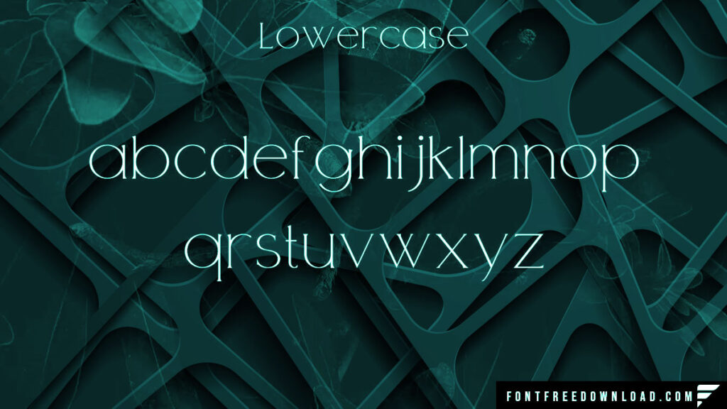 Highlighted Attributes of Zoela Font