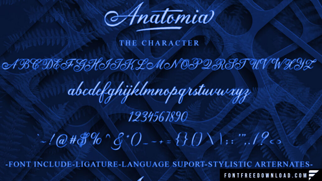 Styles in the Anatomia Font Family (Includes 03 Typeface)