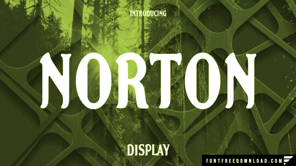 Norton Font Family Free Download