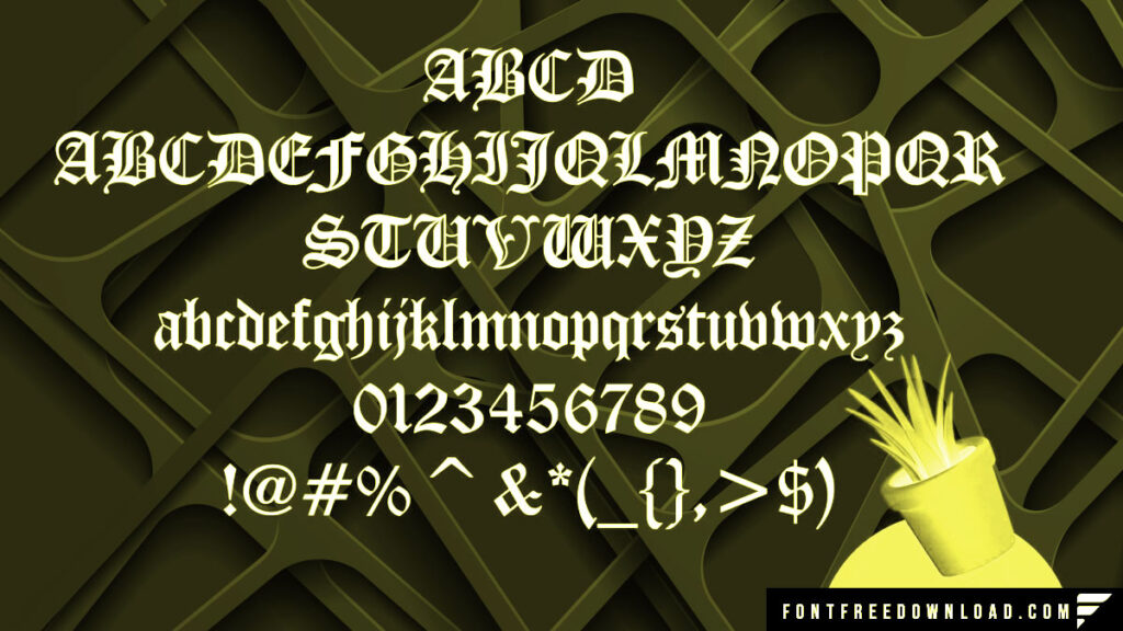 Diploma Font View