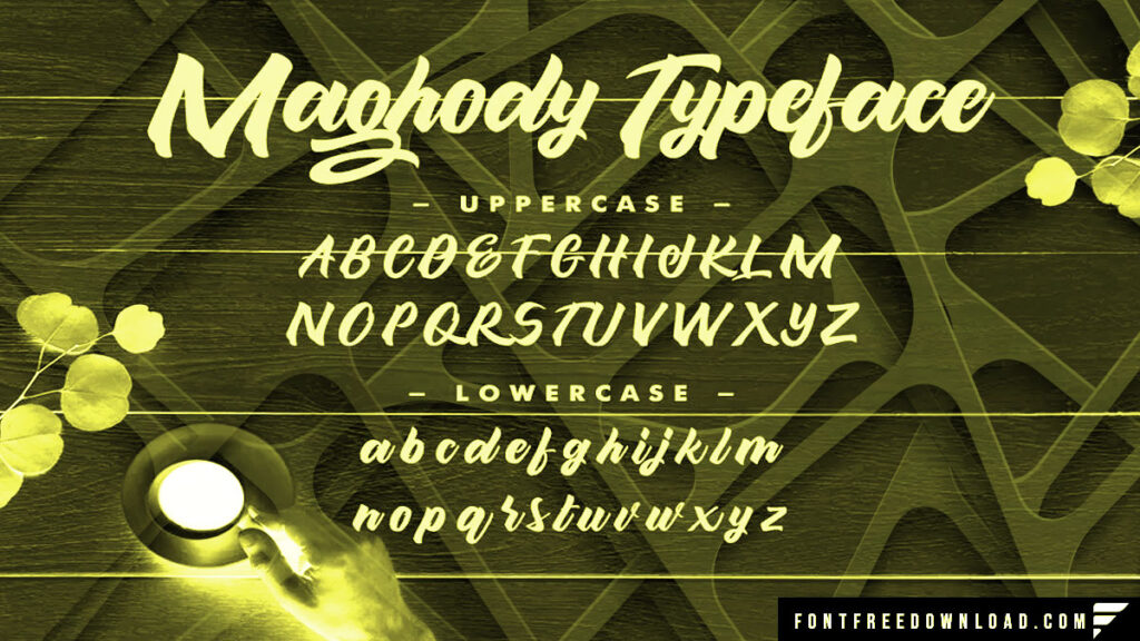 Maghody Font Family Free Download