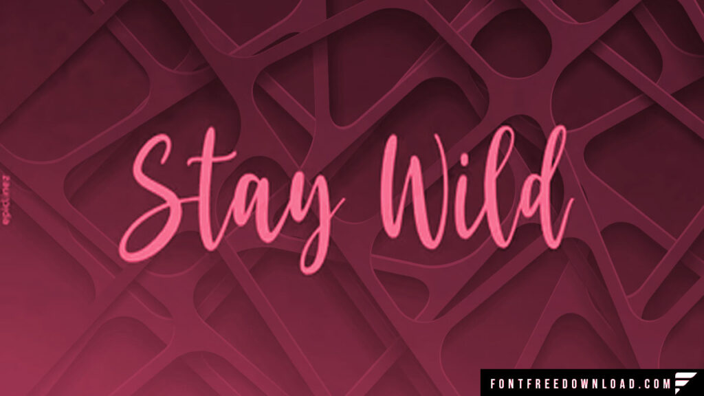 Stay Wild Font Free Download