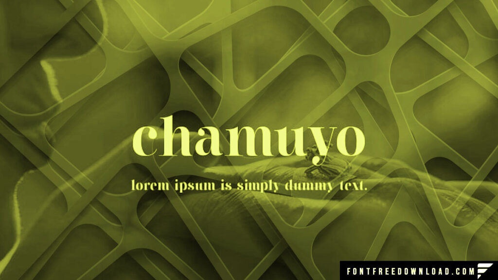 Chamuyo Font Free Download