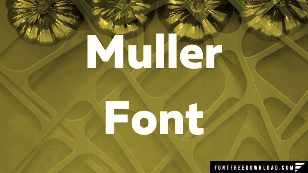 Muller Font Free Download