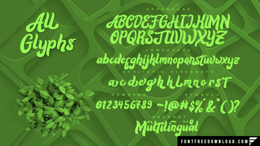 Alora Typeface Free Download