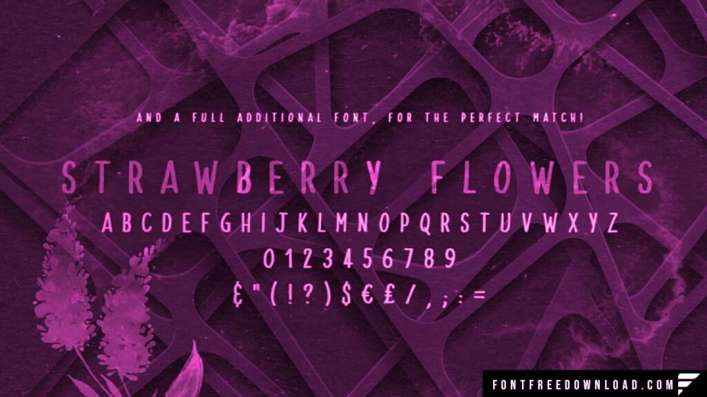 Strawberry Blossom Brush Font Free Download